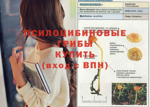 mdma Михайлов