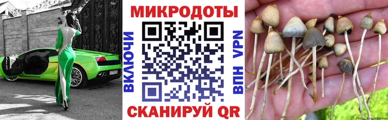 Купить где Алексин Галлюциногенные грибы мухоморы